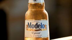 MODELO 1.jpg