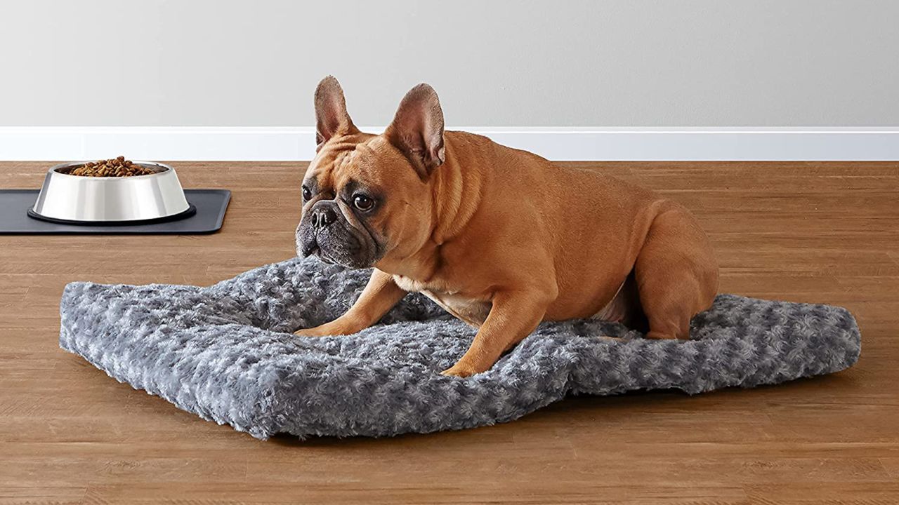 Amazon Basics Plush Dog Bed