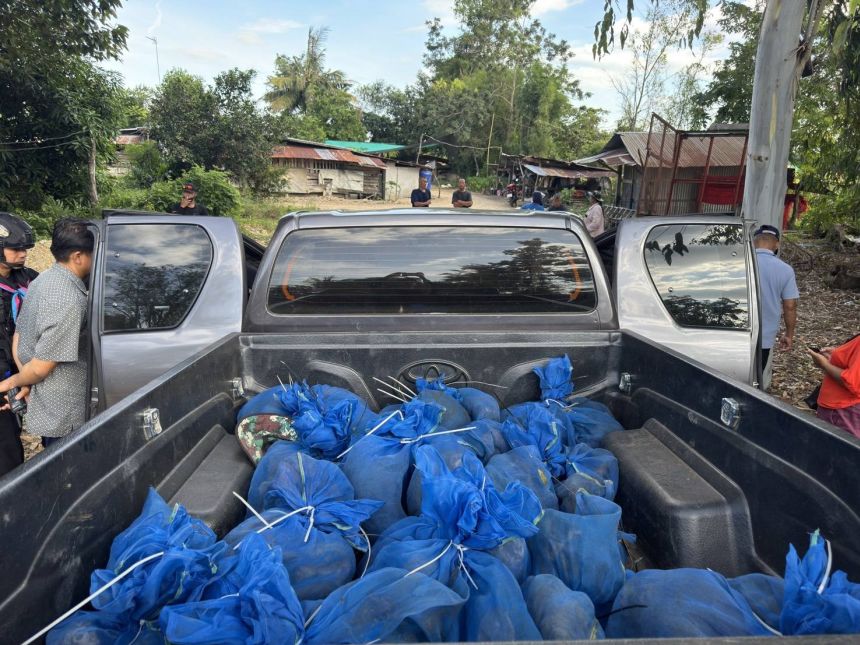 Thai rangers found 81 monkeys and drugs inside a pickup truck in a suspected animal smuggling ring operation in Aranyaprathet, Thailand, on November 14, 2025