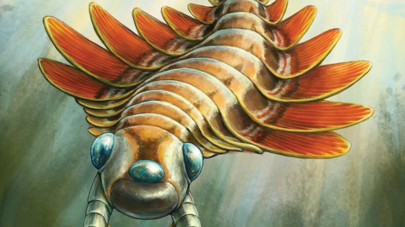 Ancient three-eyed predator was ‘unlike any living animal’