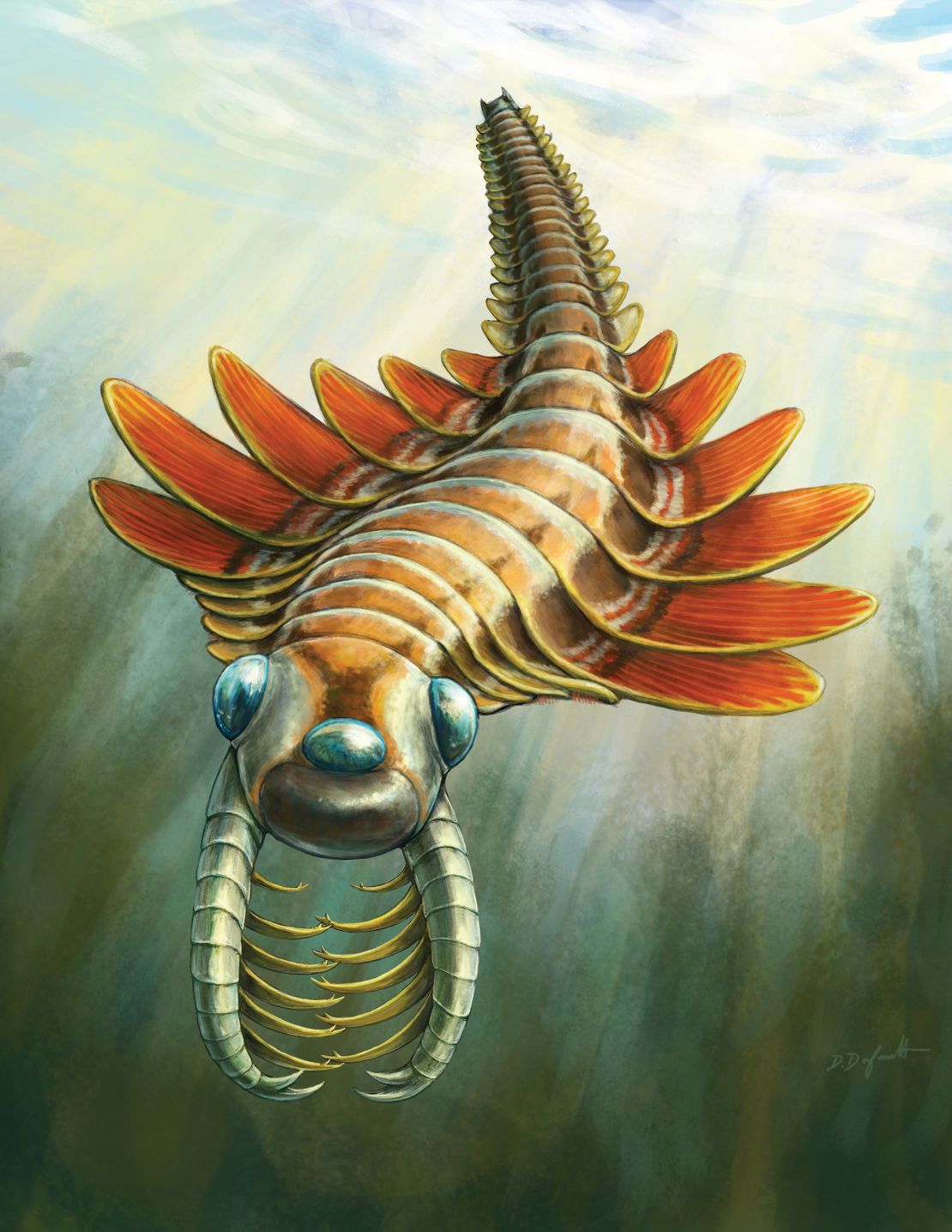 The illustration depicts what Mothra Fentoni appeared to be swimming in the ocean.