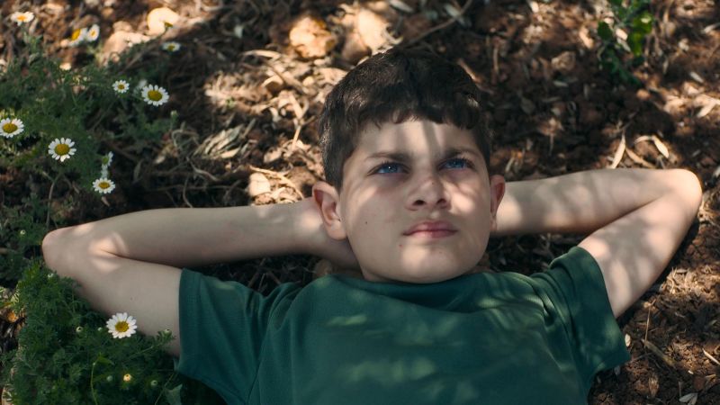 Israel’s culture minister vows to defund ‘Israeli Oscars’ after film about Palestinian boy wins big