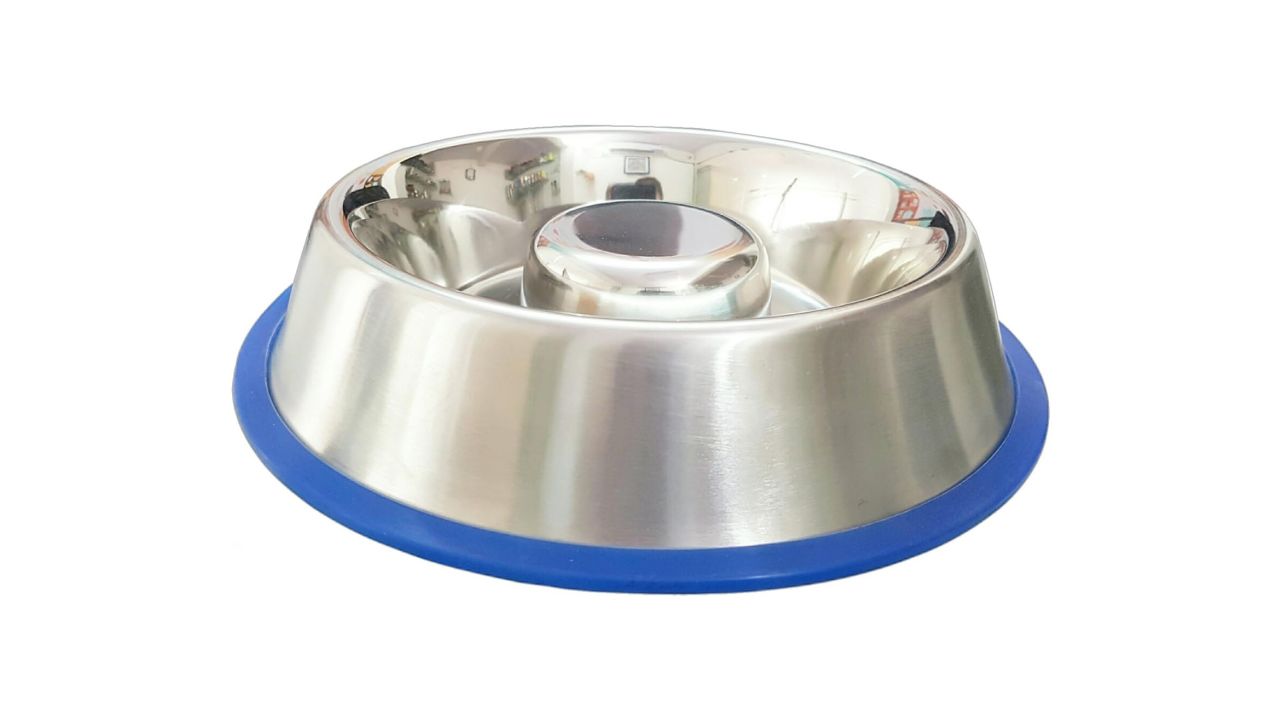 Mr. Peanut’s Interactive Slow Feed Dog Bowl product card cnnu.jpg