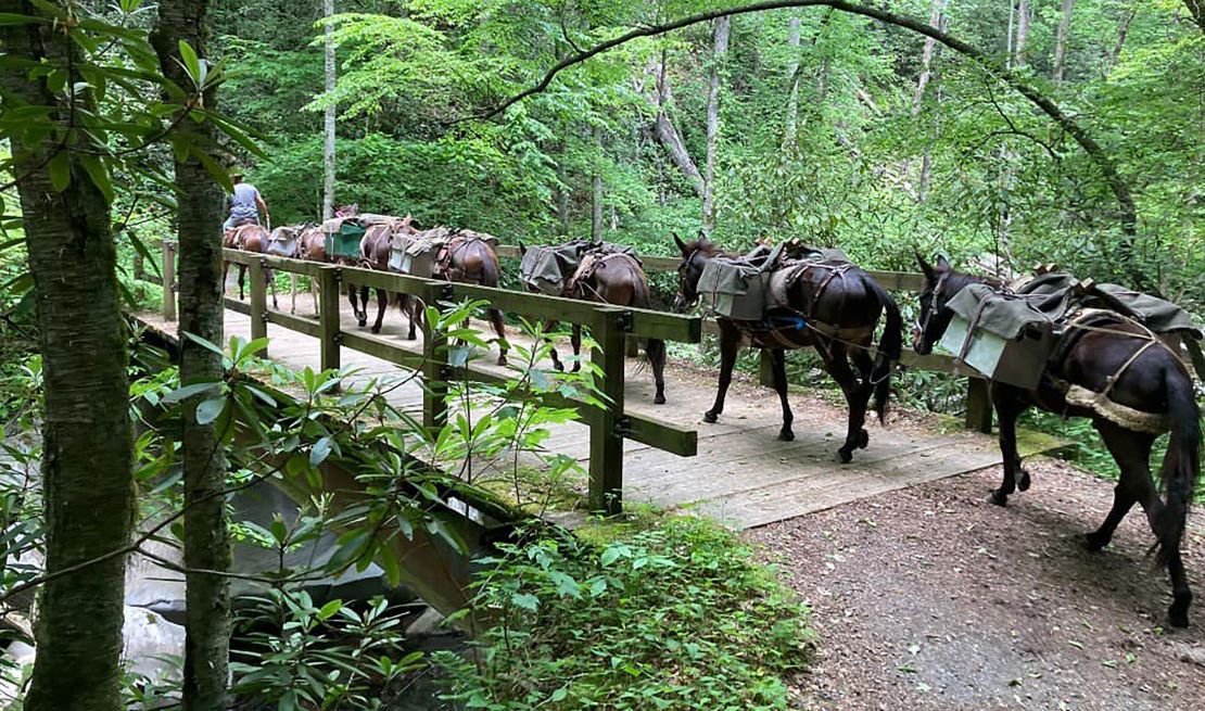 Mules are helping deliver supplies to North Carolina residents devastated by Hurricane Helene, according to Mountain Mule Packer Ranch.