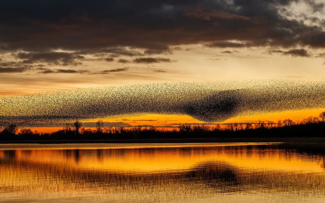 Photographer James Crombie estimates that he visited the lake, on average, 100 evenings a year over a four-year period.