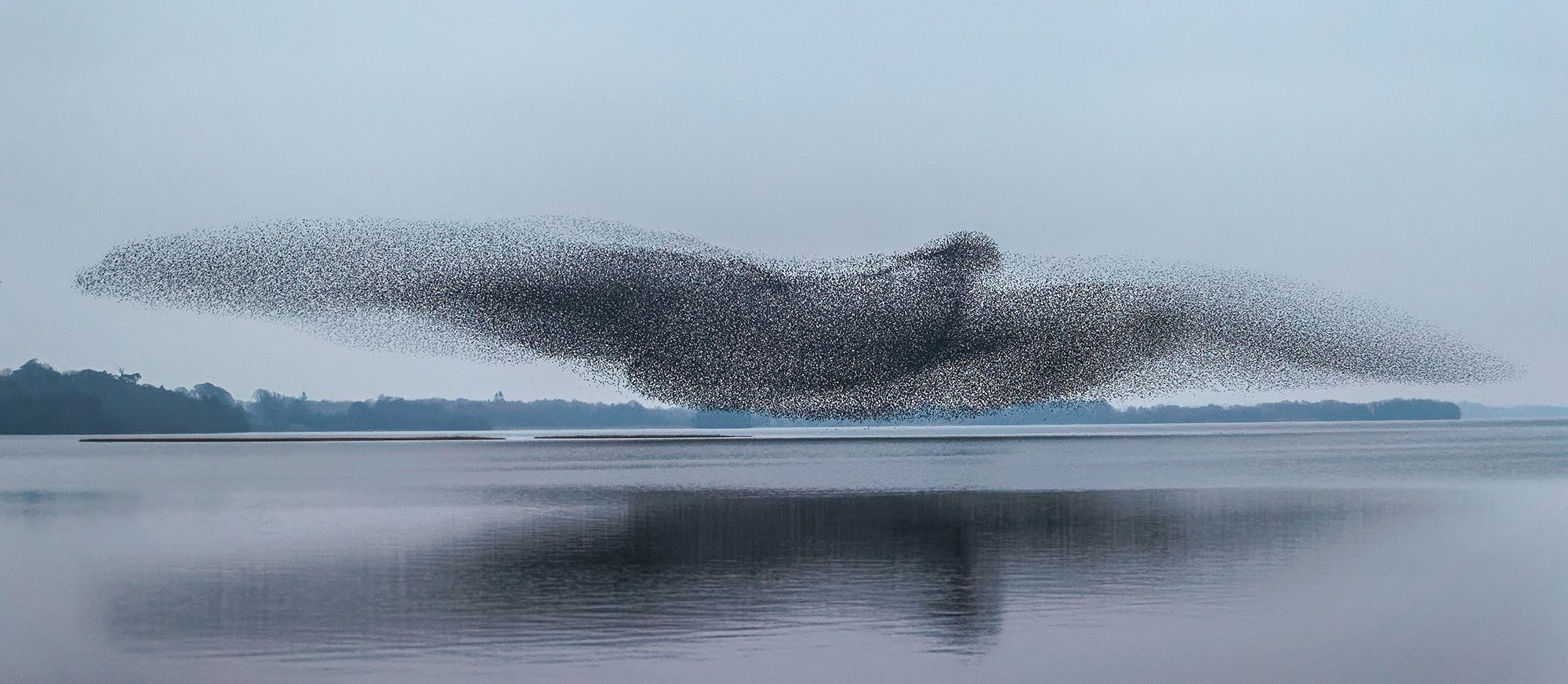 You get one split second': The story behind a viral bird photo | CNN