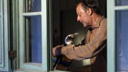 Jean Reno as "Joa?o" cradles "DinDim" the penguin, sitting by a window, in "My Penguin Friend."