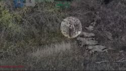 n3.JPG