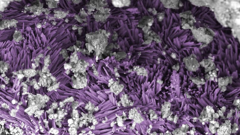 Unprecedented asteroid samples contain organic compounds and minerals crucial to life, scientists say