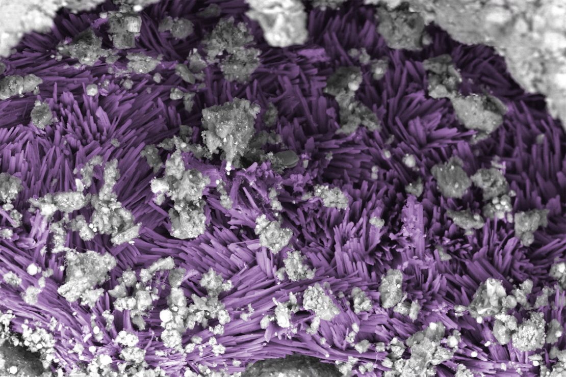 Researchers identified sodium salts, such as the needles of hydrated sodium carbonate highlighted in purple in this false-colored image, in the Bennu sample.