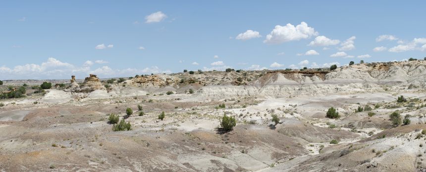 The San Juan Basin contains multiple rock layers that show when dinosaurs and early mammals lived in the region.