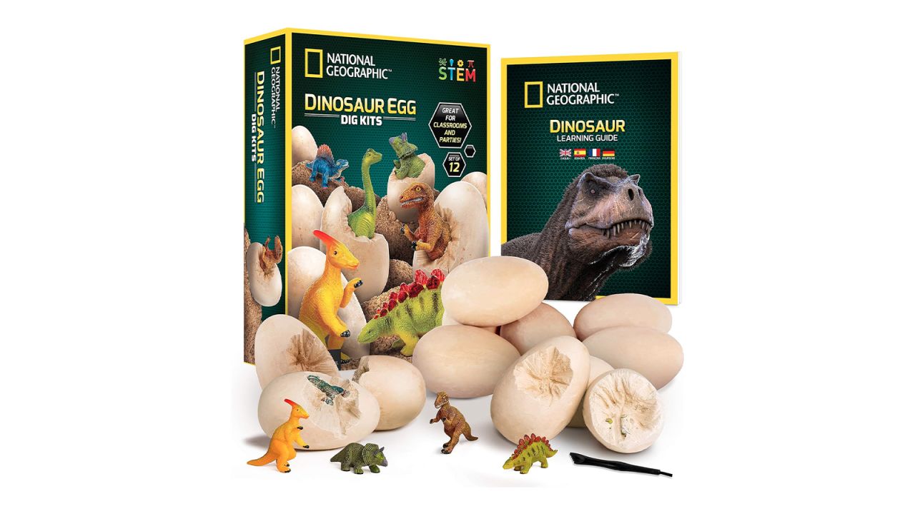 National Geographic Dinosaur Dig Kit cnnu.jpg