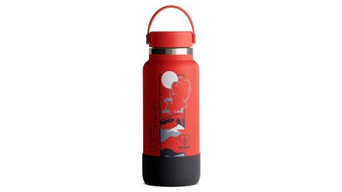 national park visiting tips hydro flask Hydro Flask National Park Foundation Limited Edition 32-Ounce Wide Mouth Water Bottle
