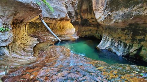 national park visiting tips Zion National Park