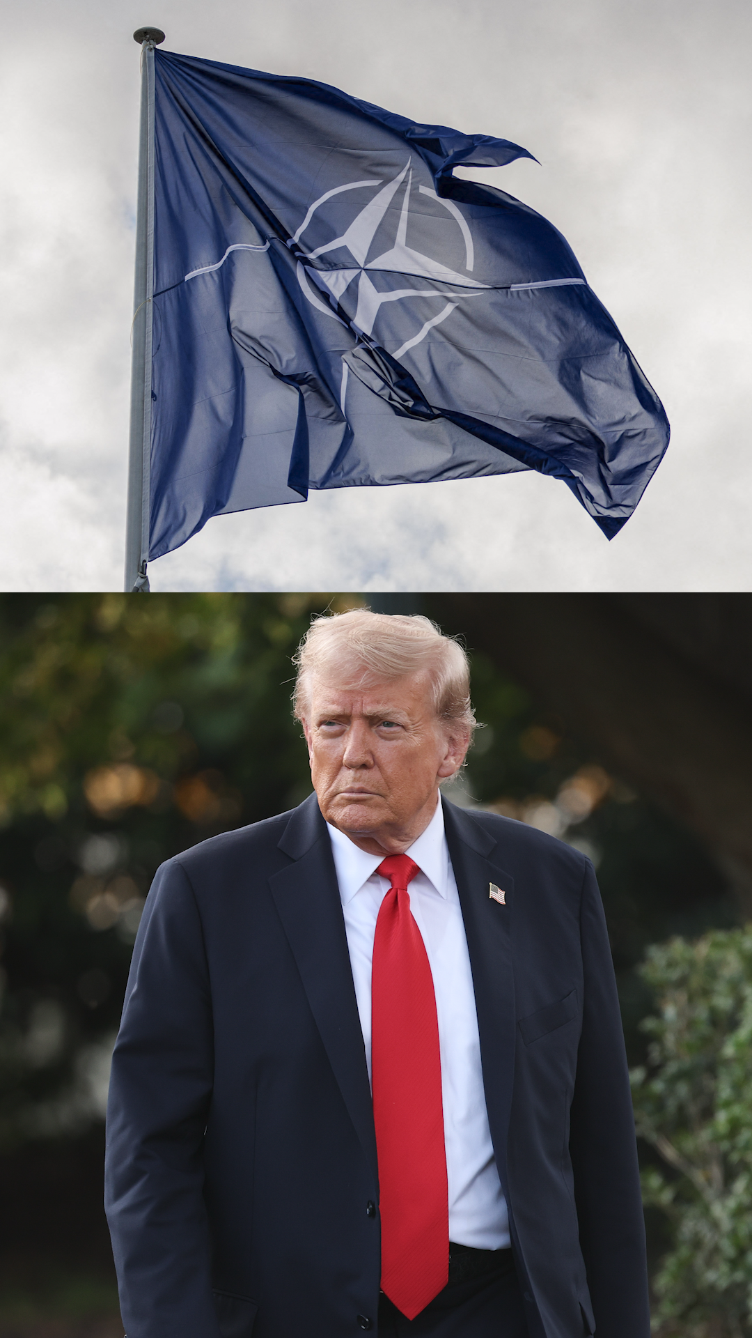 nato cln.png