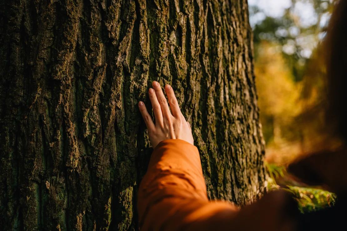 Sumergirnos en la naturaleza puede ofrecer multitud de beneficios para la salud.