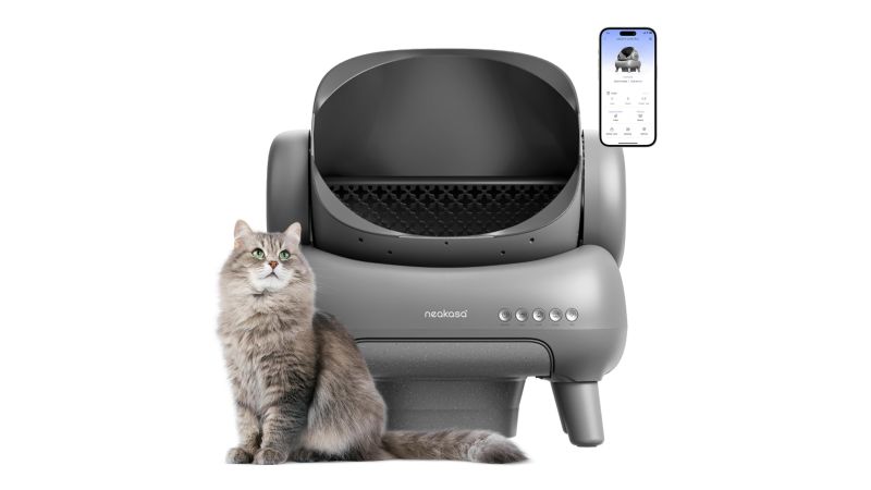 best auto cat litter box