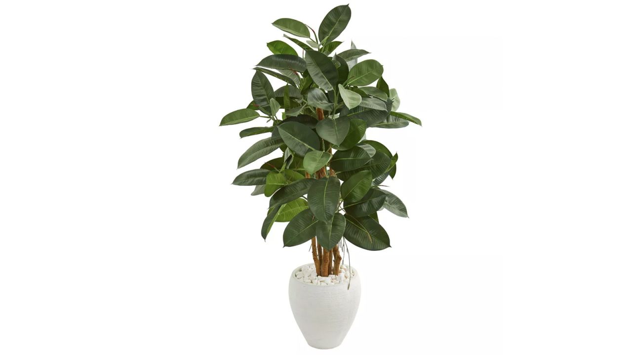 Nearly Natural Artificial Rubber Tree in White Planter .jpg