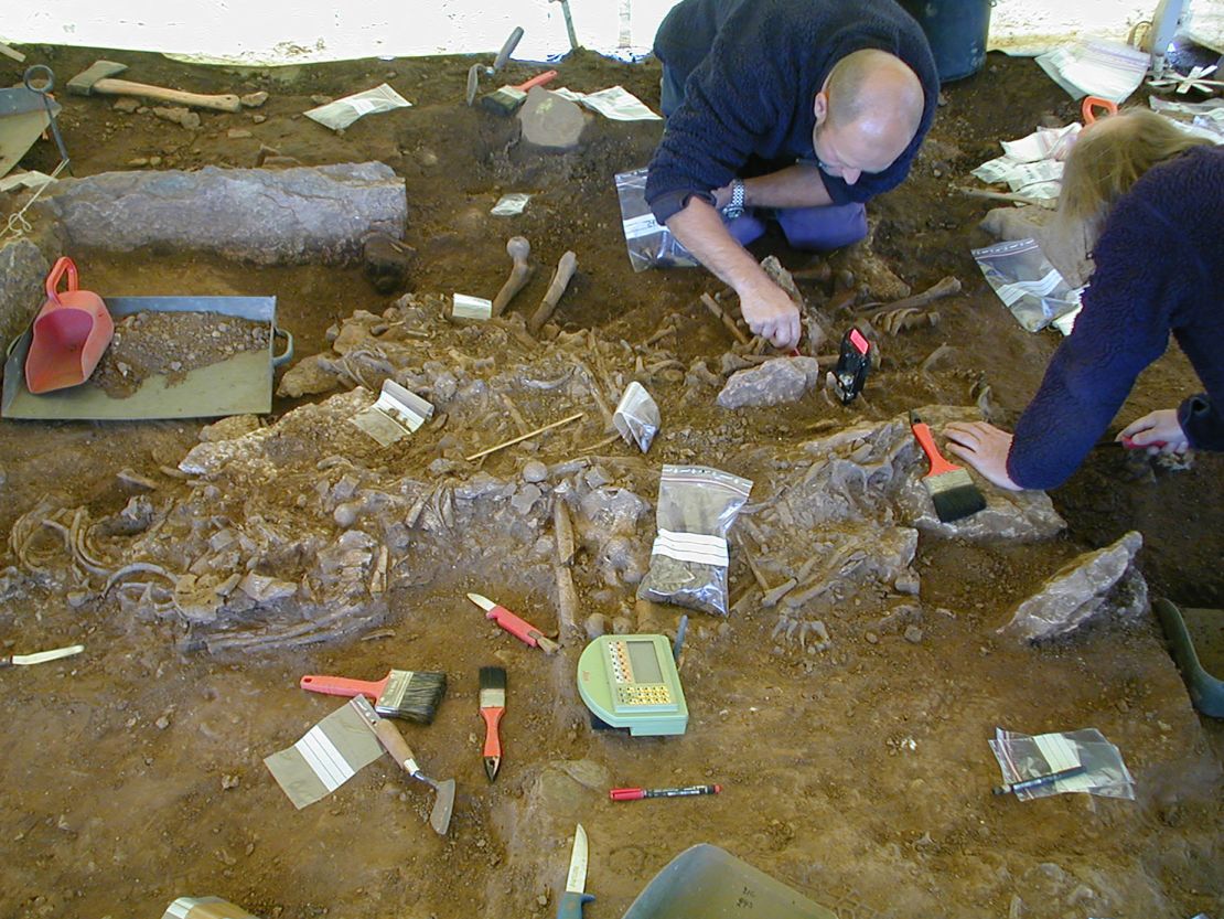 Archaeologists excavate a grave in Fr?lseg?rden, Sweden, in 2001. DNA extracted from some of the bones revealed the presence of the bacterium that causes plague.