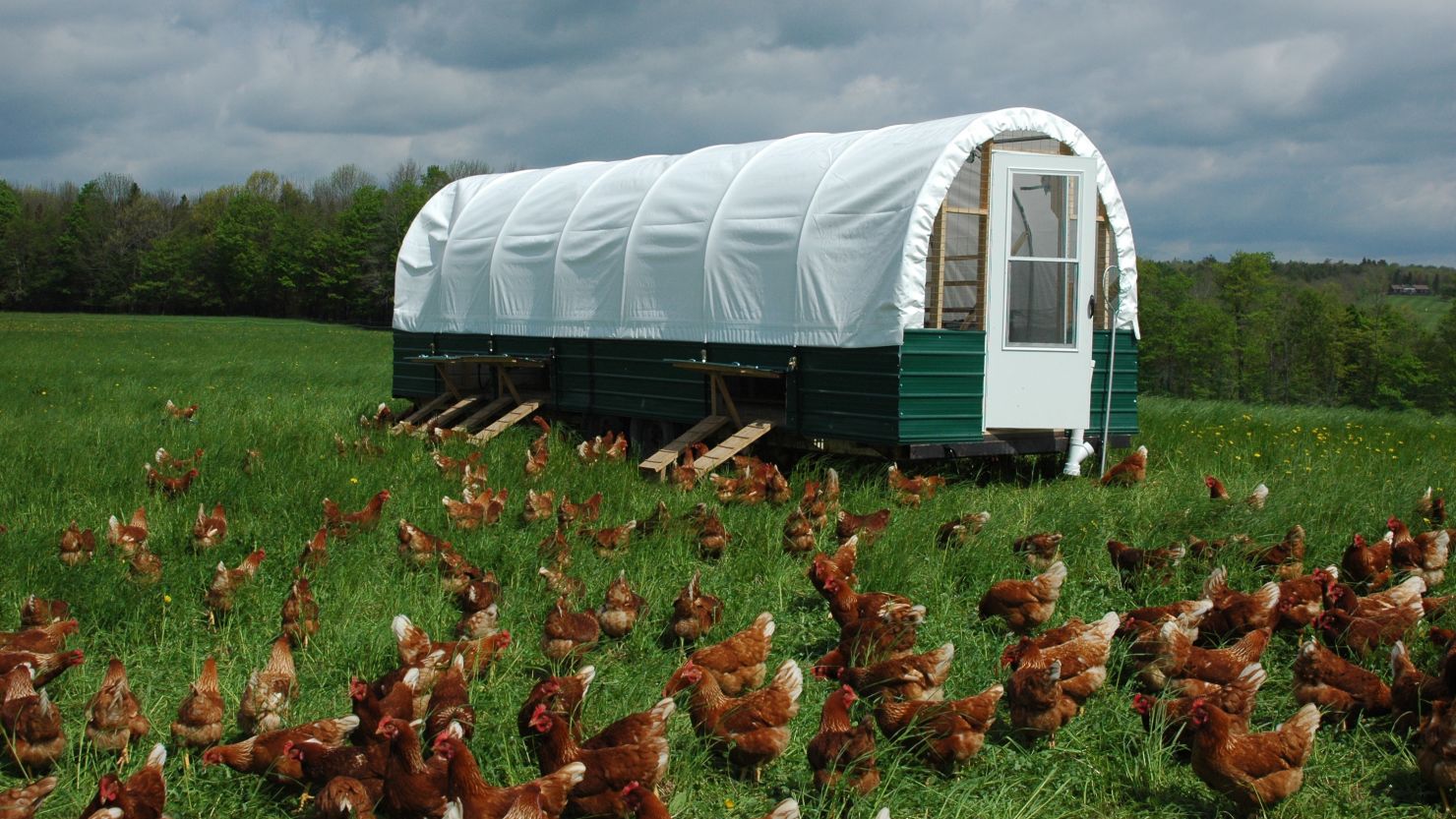 Sova Farms in Norwich, NY, produces organic brown eggs.