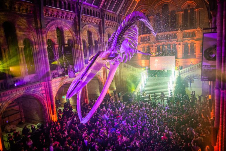 New Year's Eve celebrations at the Natural History Museum, London.