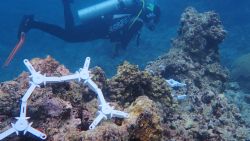 Coral seeding devices, Great Barrier Reef, 2024