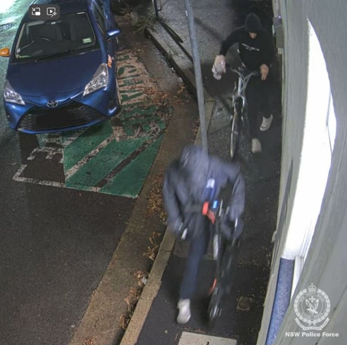 Police released CCTV images after offensive graffiti was sprayed on a synagogue in Sydney’s Inner West on Saturday, January 11, during which police believe an arson attempt was also made.