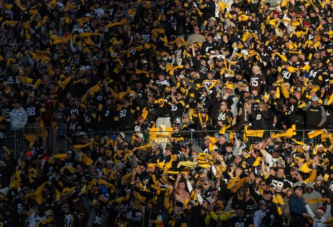 Pittsburgh Steelers fans cheer during their team's 27-14 victory over the Cleveland Browns in Pittsburgh on December 8.