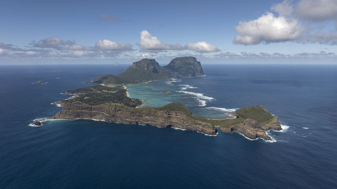 Lord Howe Island, Australia, is a breeding ground for sable shearwaters.