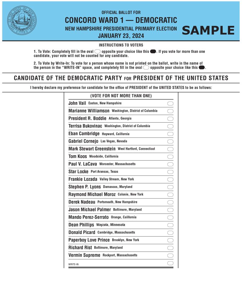 New Hampshire Primary 2024 Ballot Sample Template - Eleni Hedwiga