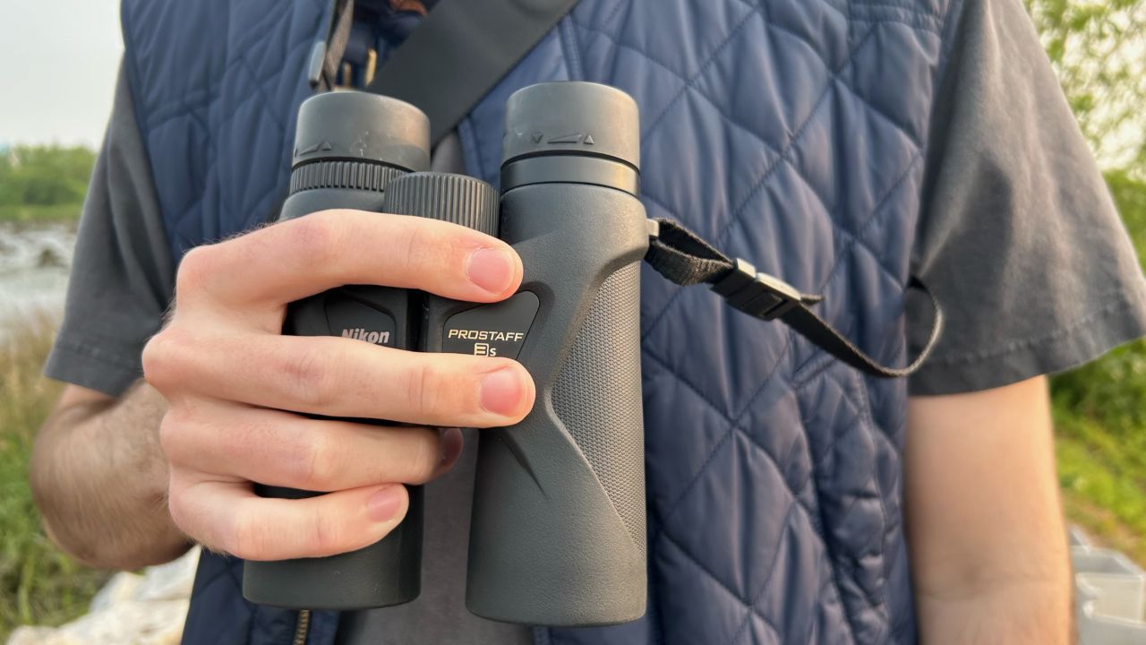 Nikon's Prostaff line of binoculars is a great option for beginner birders because of its affordability and quality.