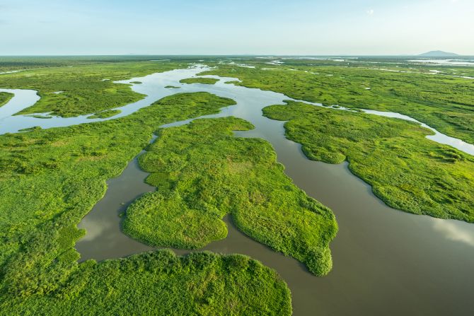 South Sudan, a country in central Africa, has a varied landscape, from rainforests to lush savannas and swamplands fed by the Nile River (pictured). It is home to an array of wildlife, but the country’s long history of unrest has made it hard to carry out scientific research. <strong>Look through the gallery to see more.</strong>