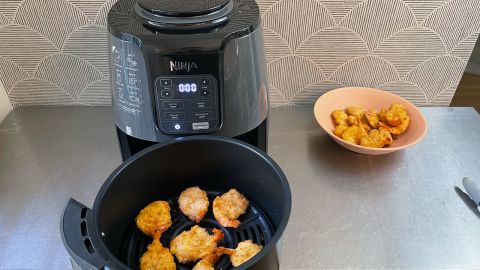 Ninja AF101 Air Fryer