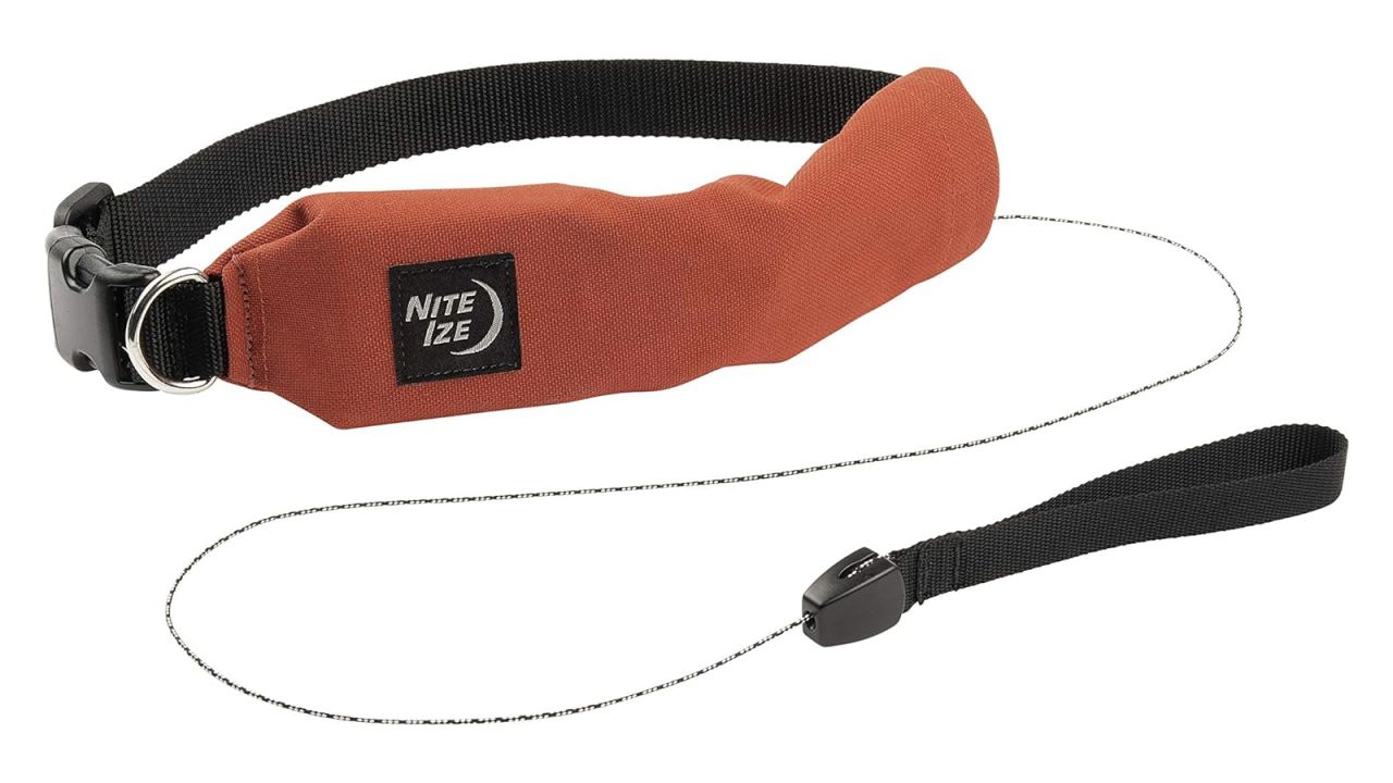 Nite Ize Raddog All-In-One Collar + Leash cnnu.jpg