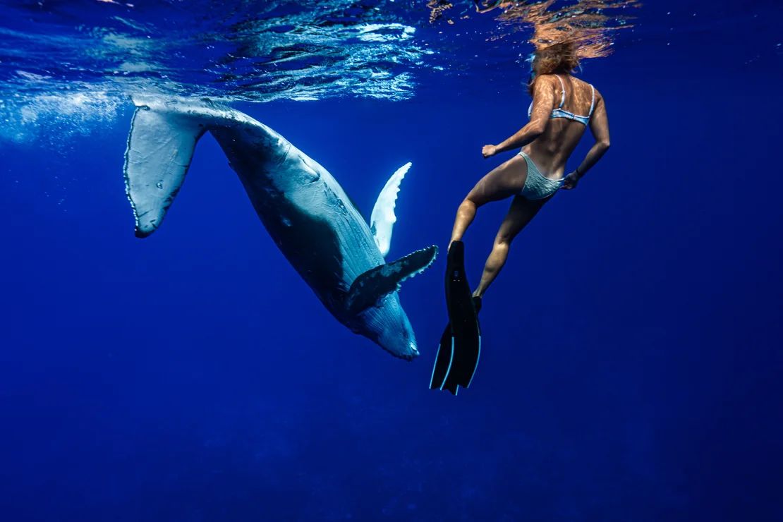 Las aguas territoriales de Niue han sido designadas como parque marino de usos múltiples.