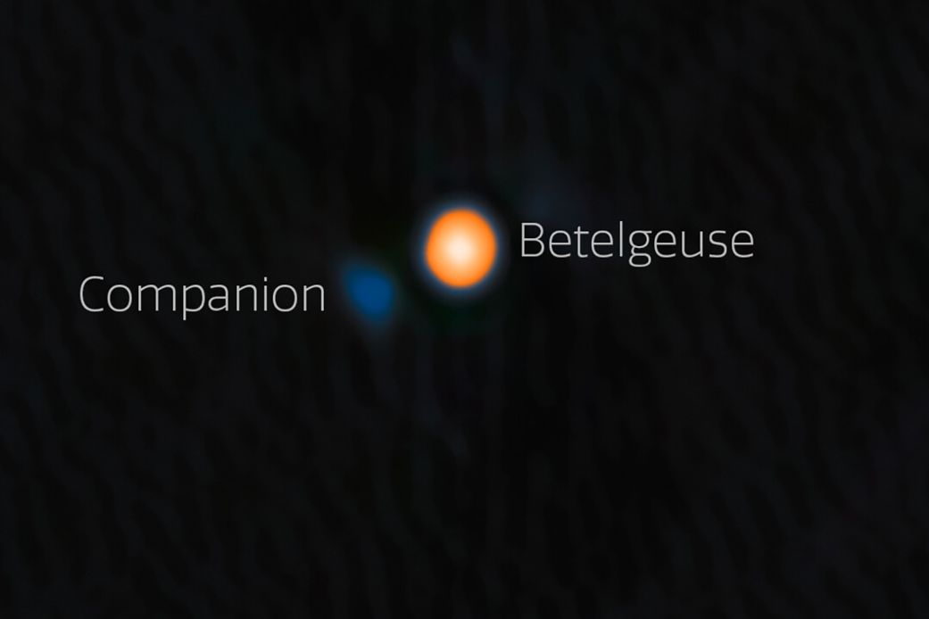Astronomers have observed a faint blue star near the red supergiant star Betelgeuse.