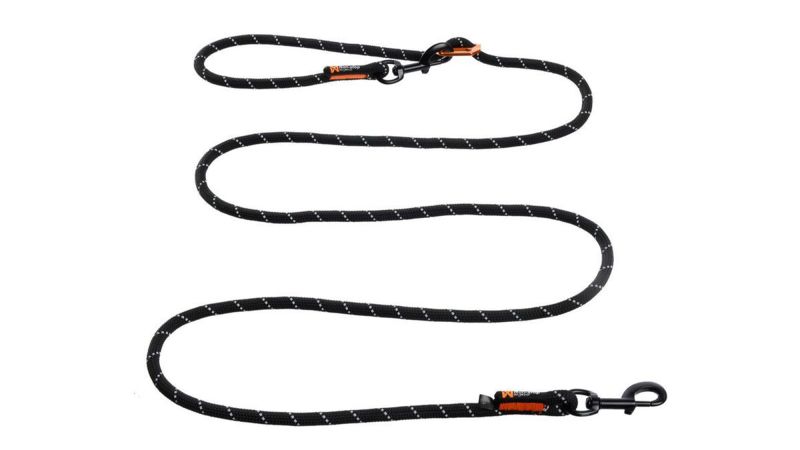 Best bungee dog leash best sale