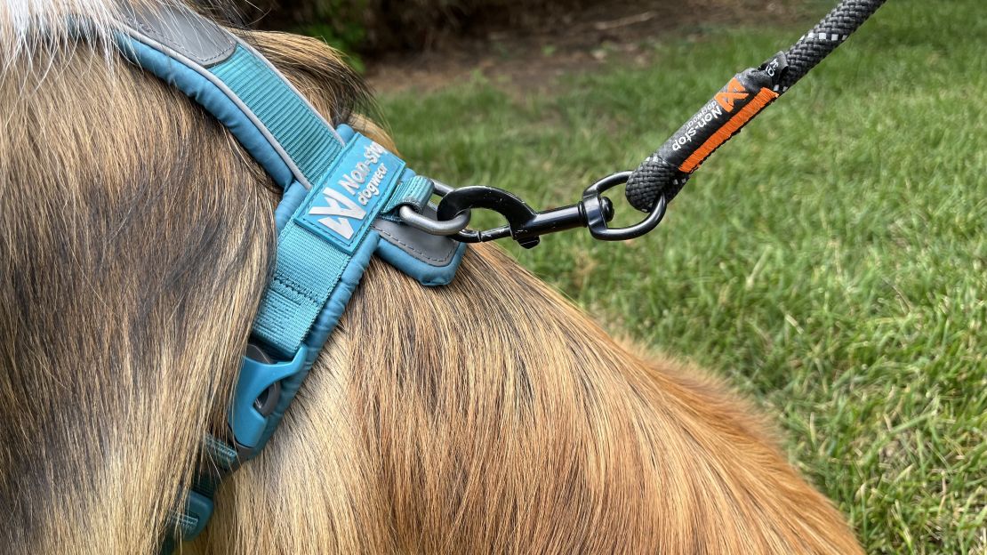 Best hands free dog leashes in 2024 tried and tested CNN Underscored