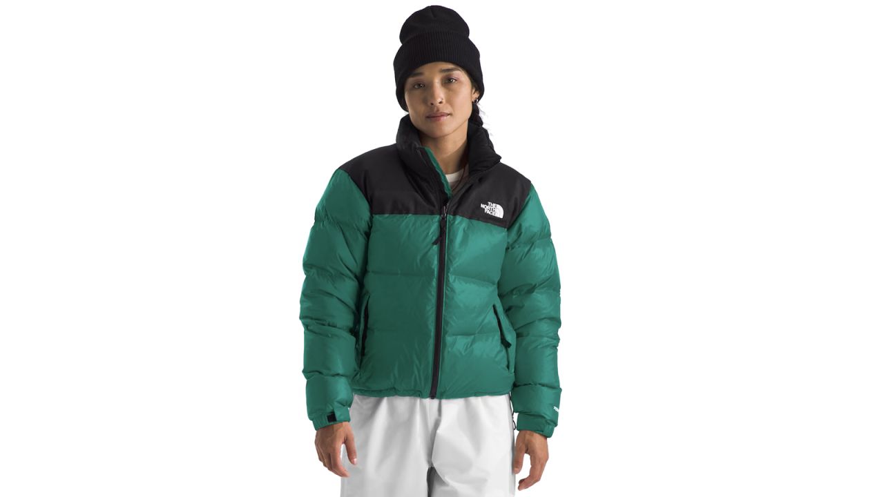 north face puffer.jpg