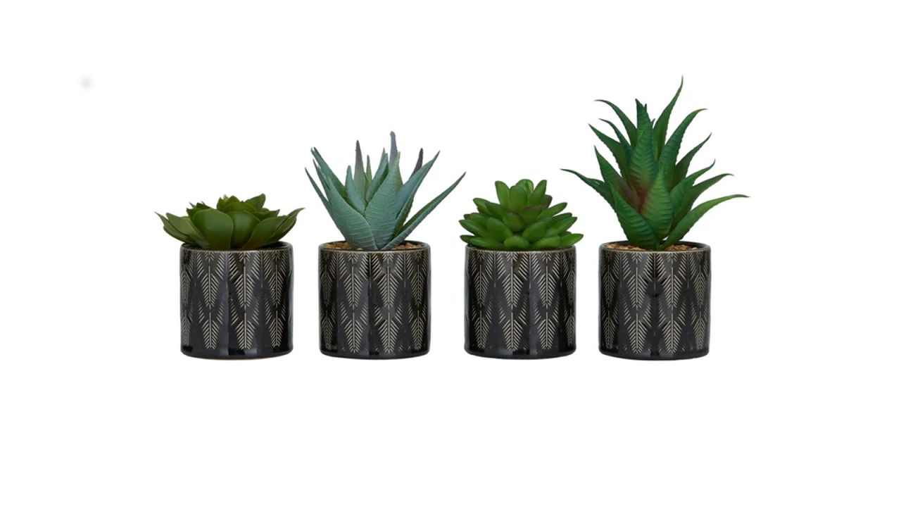 Novogratz Small Succulent Artificial Plant With Leaf Patterned Pot, Set of 4.jpg