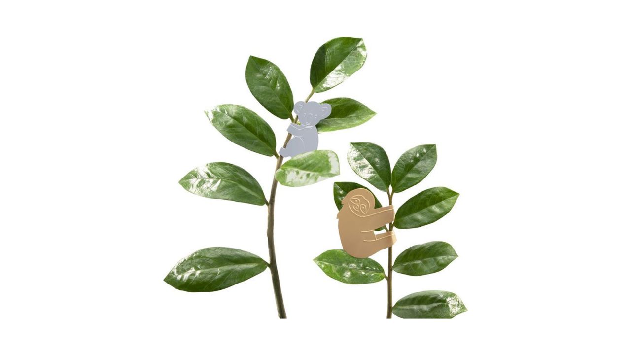 NPW Plant Animals.jpg