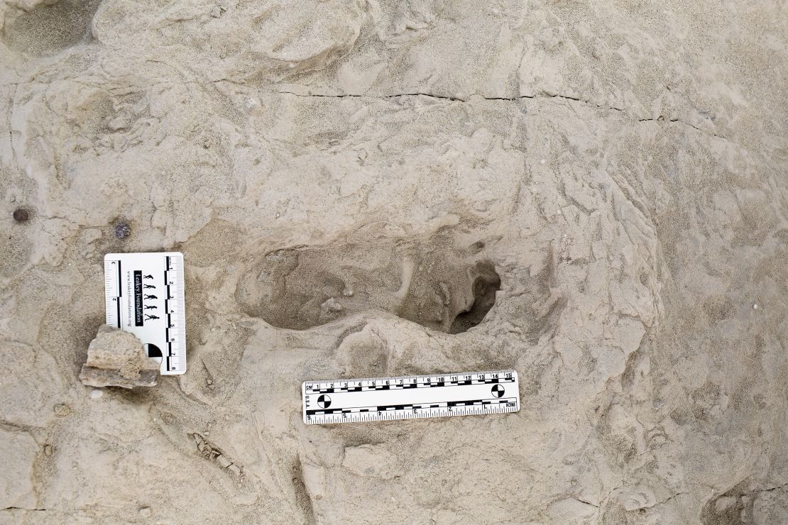 Discovery of fossilized footprints reveals the moment two ancient human ...