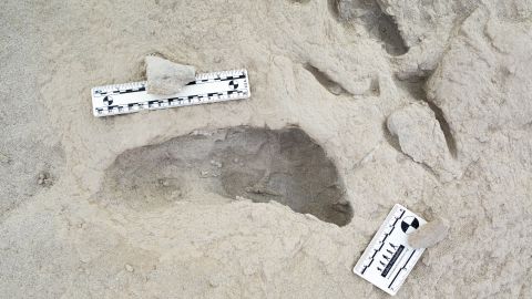 A fossil footprint hypothesized to have been created by a Paranthropus boisei individual.