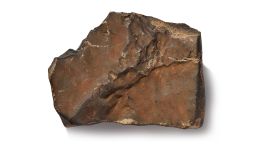 NWA 16788 meteorite