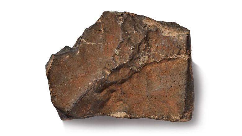 NWA 16788 meteorite