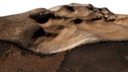 NWA 16788 meteorite