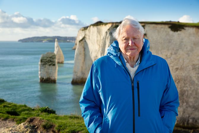 David Attenborough stands at the coast in Southern England. (Credit: Silverback Films and Open Planet Studios/Keith Scholey)