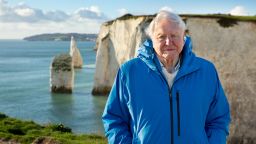 David Attenborough stands at the coast in Southern England. (Credit: Silverback Films and Open Planet Studios/Keith Scholey)