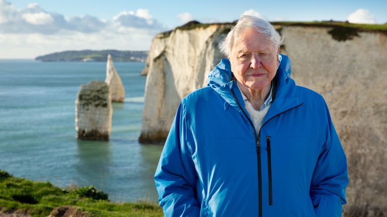 David Attenborough stands at the coast in Southern England. (Credit: Silverback Films and Open Planet Studios/Keith Scholey)