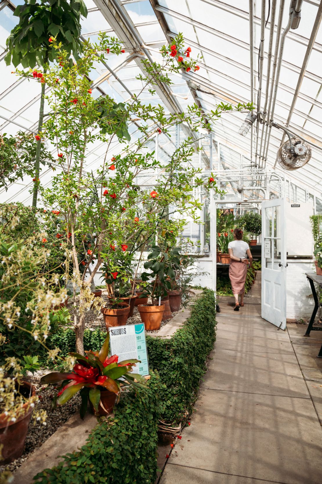 The superb Lyman Plant House and Conservatory at Smith College was built in 1895 and was the site of a fateful course alumna Sylvia Plath took when she was a student there.